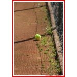 Impressionen Anlage_031.jpg